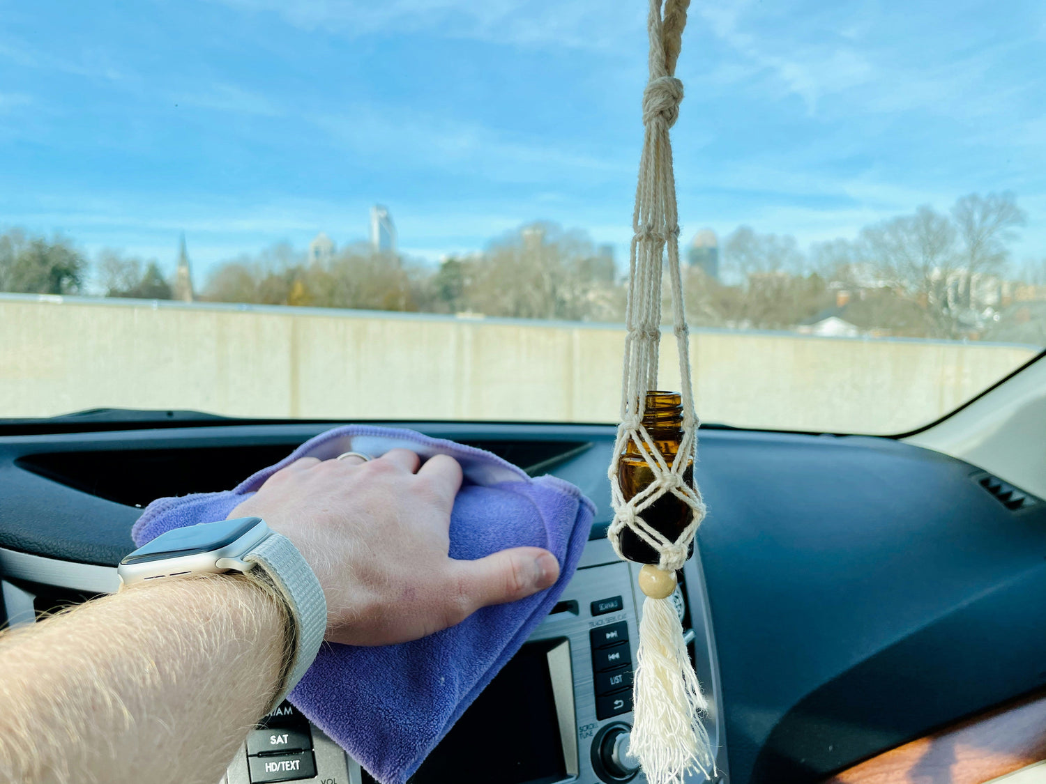 Cleaning Drying Mitts