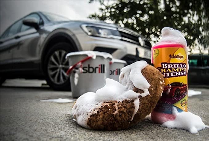 Sisbrill Premium Exterior Car Wash Kit – Complete Car Paint Cleaning & Care Set