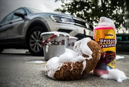 Sisbrill Premium Exterior Car Wash Kit – Complete Car Paint Cleaning & Care Set