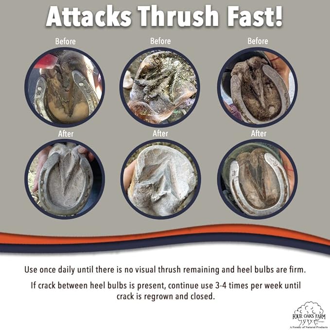 Four Oaks Farm Ventures, No Thrush Dry Powder Treatment for Horses - Wound Care, Scratches, Rain Rot, Mud Fever, Coat Issues - All Natural Ingredients, Non-caustic, Easy to Use Powder Formula (2.5 oz)