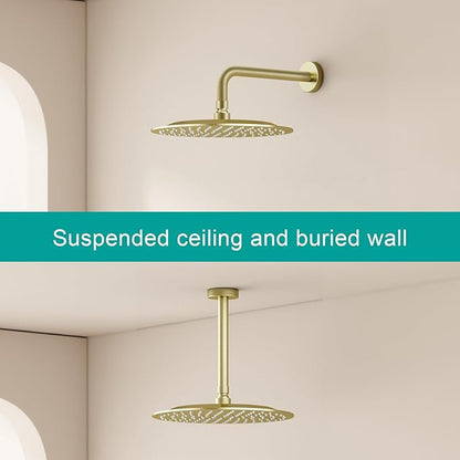 All Metal Rain Shower Head - Heavy Duty Stainless Steel, Easy Install, High Water Flow, Ultra-Thin Modern Design for Bathroom (F-Brushed Gold, 10)