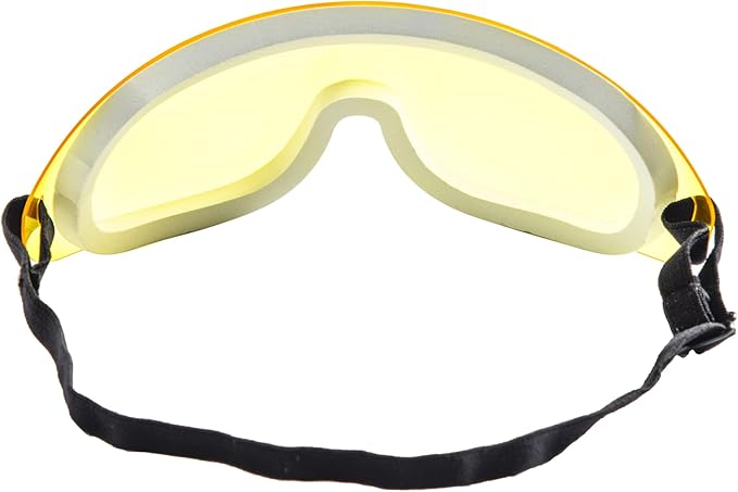 Eagle Eyes Safety Goggles PanoShield Anti-Fog Protective Goggles ANSI Z87.1 UV Protection Scratch Resistant