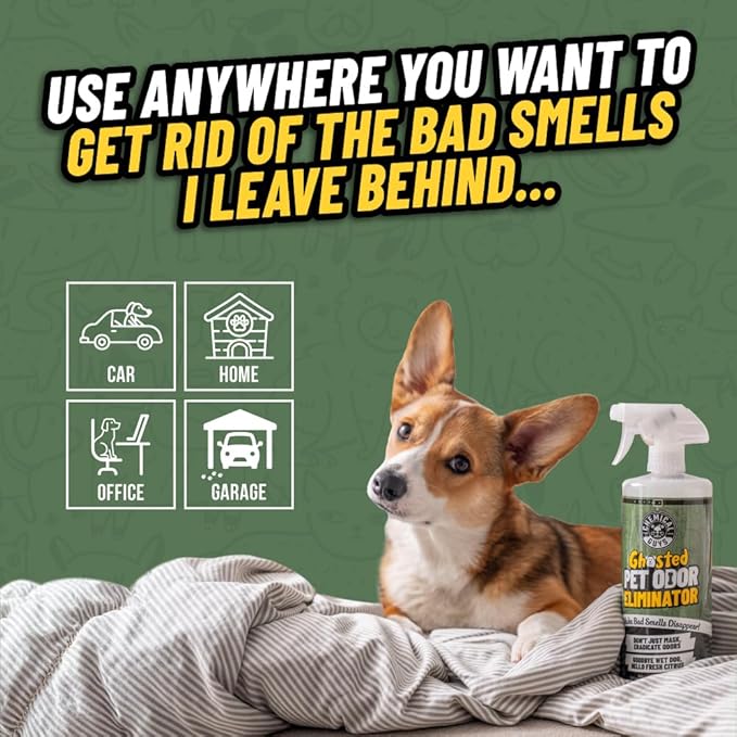 Chemical Guys Ghosted Pet Odor Eliminator 32 Oz Pet Smell Neutralizer For Car Interior, Carpet, Upholstery, Fabric Seats, Home, Furniture, Citrus Scent Spray Cleaner