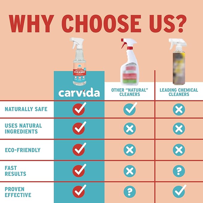 Carvida Seat & Carpet Instant Cleaner - Stain Remover Spray for Automotive Fabric Seats and Carpets, Grapefruit Scent, 16oz