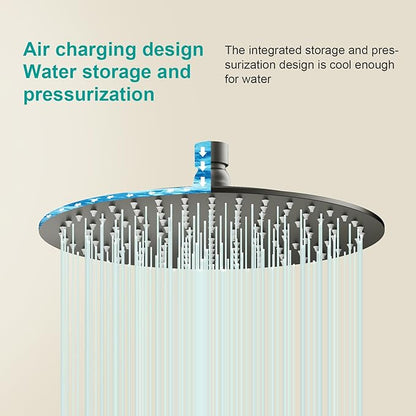 All Metal Rain Shower Head - Heavy Duty Stainless Steel, Easy Install, High Water Flow, Ultra-Thin Modern Design for Bathroom (D-Matte Black, 10)（BNW0088）
