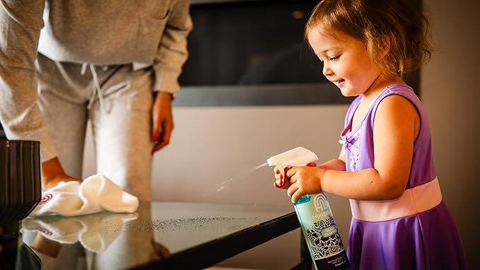 HoogaLab 16oz Glass Cleaner - No Streak, All Shine! Achieve a Crystal Clear Shine on All of Your Glass Surfaces | Elimate Fingerprints, Smudges, Water Spots, and More! (2 pack)