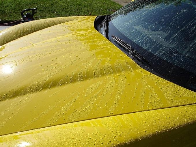 Corrosion Technologies RejeX 61001 (12 fl oz) – High Gloss Finish That Protects | For All Vehicles | Synthetic Paint and Surface Sealant | Lasts 3X Longer Than Any Wax | Nothing Sticks But The Shine!
