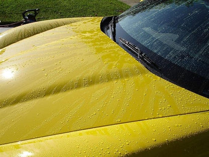 Corrosion Technologies RejeX 61001 (12 fl oz) – High Gloss Finish That Protects | For All Vehicles | Synthetic Paint and Surface Sealant | Lasts 3X Longer Than Any Wax | Nothing Sticks But The Shine!