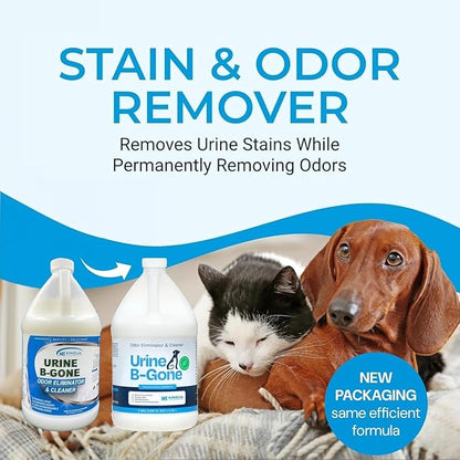 KINZUA ENVIRONMENTAL Urine B-Gone, Professional Enzyme Odor Eliminator & Pet Stain Remover, Human, Cat & Dog Urine Cleaner, Effective on Laundry, Carpets & More, Original Scent, 1 Gallon