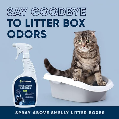 Cat Stain And Odor Remover | Enzyme Urine Odor Neutralizer - Stain Remover for Carpet, Litter Boxes, Bedding, and Laundry [Citrus Scent, 32 oz. Spray]