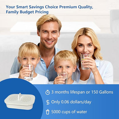 Replacement Filter for Nakii® NFP-100 Compatible with Nakii Filter Pitcher，Reduces Chlorine PFOA PFOS PFOS Reduce Water Hardness, Replacement water filters for pitcher 3 pack
