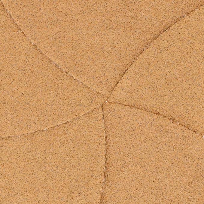 Dura-Gold Premium 60 Grit 6" Gold Sandpaper Discs, 6 Hole Pattern Dustless, Box of 24 - Hook & Loop Backing for DA Sander, Finishing Coarse Sanding Abrasive Automotive Paint, Woodworking Wood, Metal