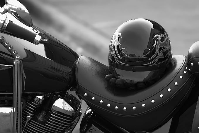 Skidmore's Biker Edition Leather Care Gift Set and Featherline Detail Applicator Brushes