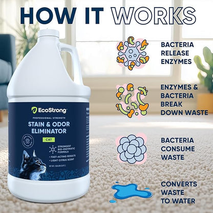 Eco Strong Cat Stain and Odor Remover| Enzyme Urine Odor Neutralizer - Stain Remover for Carpet, Litter Boxes, Bedding, and Laundry [160 Fl Oz Bundle]