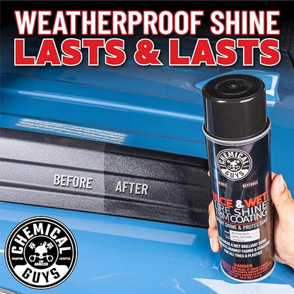 Chemical Guys Nice and Wet Tire Shine (Aerosol) (2 Pack) – High Gloss Tire Dressing Spray for Black Shine & Water-Based Protection