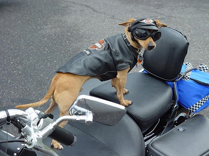 Skidmore's Biker Edition Leather Cream | All Natural Non Toxic Formula is a Cleaner and Conditioner, Protects your Motorcycle Leather | Made in USA