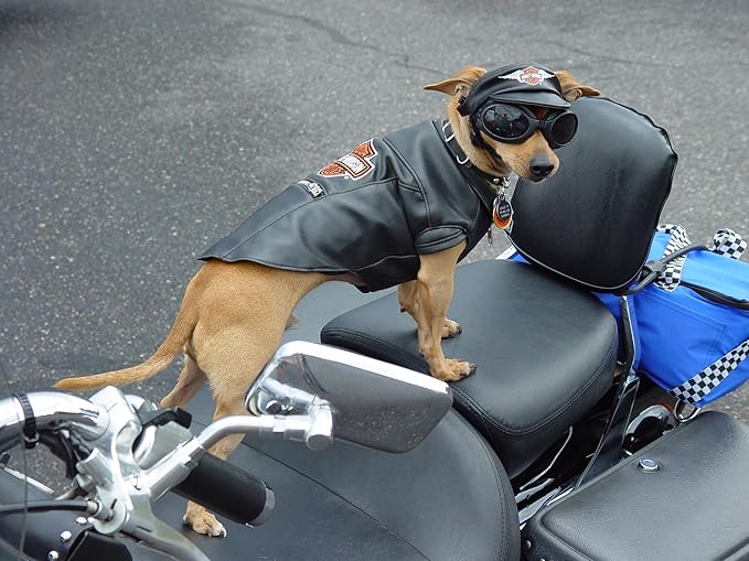 Skidmore's Biker Edition Leather Cream | All Natural Formula Cleans, Conditions, and Protects your Motorcycle | Made in USA