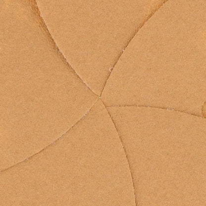 Dura-Gold Premium 100 Grit 6" Gold Sandpaper Discs, 6 Hole Pattern Dustless, Box of 50 - Hook & Loop Backing for DA Sander, Finishing Coarse Sanding Abrasive Automotive Paint, Woodworking Wood, Metal