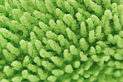 Detailer's Preference Reversible Microfiber Wash and Scour Mitt, Dual-Sided Chenille & Cross-Weave for Car Detailing, Bug Removal, Interior Dusting, Large 8"x10", Lime Green