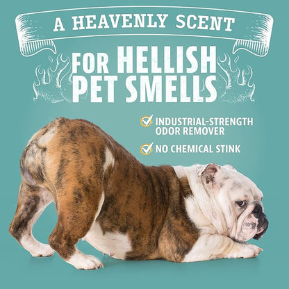 Angry Orange Pet Odor Eliminator for Dog and Cat Urine, Carpet Stains, and Strong Smells – Citrus Cleaner with Natural Orange Oil – 1 Gallon