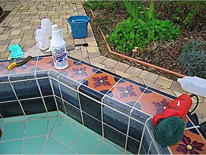 BRING IT ON! CLEANER Hard Water Stain Remover Sealant 16oz, Water Spots on Glass, Hard Water Buildup.