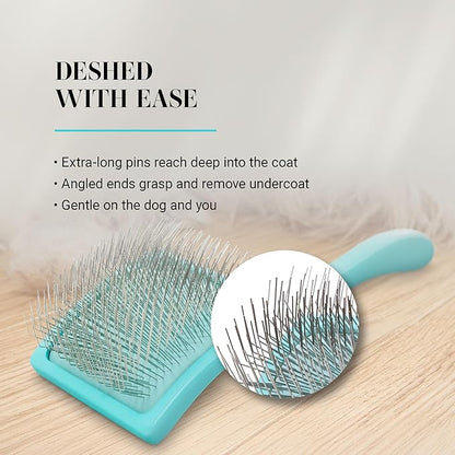 Chris Christensen Big G Dog Slicker Brush for Dogs (Goldendoodles, Labradoodles, Poodles), Groom Like a Professional, Fluff Detangle Style, Saves Time Energy, Teal, Large