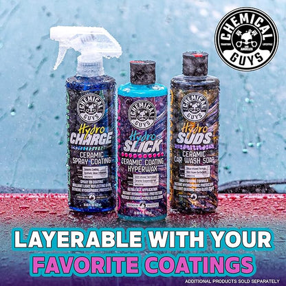Chemical Guys HydroSlick 8 oz with 2 Applicators - Long Lasting Ceramic Coating Sealant for Cars, Trucks & More - Provides Extreme Gloss and Protection - WAC241