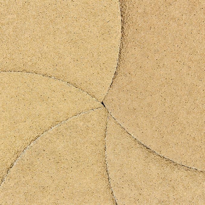 Dura-Gold Premium 40 Grit 6" Gold Sandpaper Discs, No Hole Pattern Dustless, Box of 25, Hook & Loop Backing for DA Sander, Finishing Coarse Sanding Abrasive Automotive Paint, Woodworking Wood, Metal