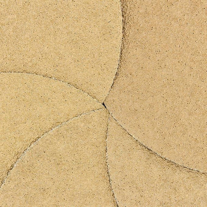 Dura-Gold Premium 40 Grit 6" Gold Sandpaper Discs, No Hole Pattern Dustless, Box of 25, Hook & Loop Backing for DA Sander, Finishing Coarse Sanding Abrasive Automotive Paint, Woodworking Wood, Metal